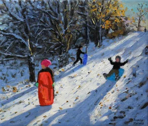 Slitta rossa, Allestree Park Derby, 2014